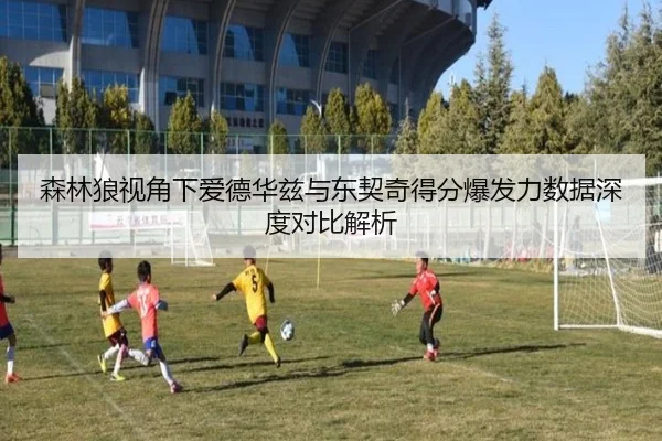 森林狼视角下爱德华兹与东契奇得分爆发力数据深度对比解析