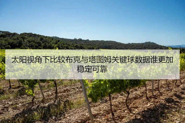 太阳视角下比较布克与塔图姆关键球数据谁更加稳定可靠